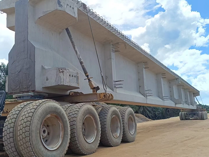 220 Ton 8 Axle Girder Bridge Carrier Supplier 220 Ton 8 Axle Girder Bridge Carrier Supplier